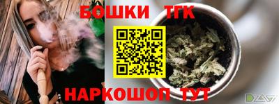 соль ск Славгород